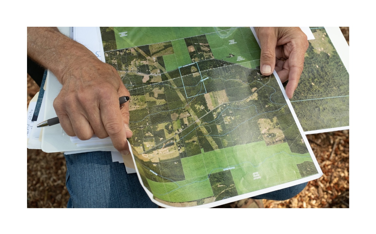 Banking on Oregon forests Despite challenges, carbon markets see big